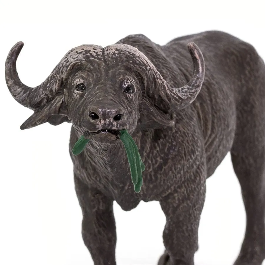 Cape Buffalo Toy