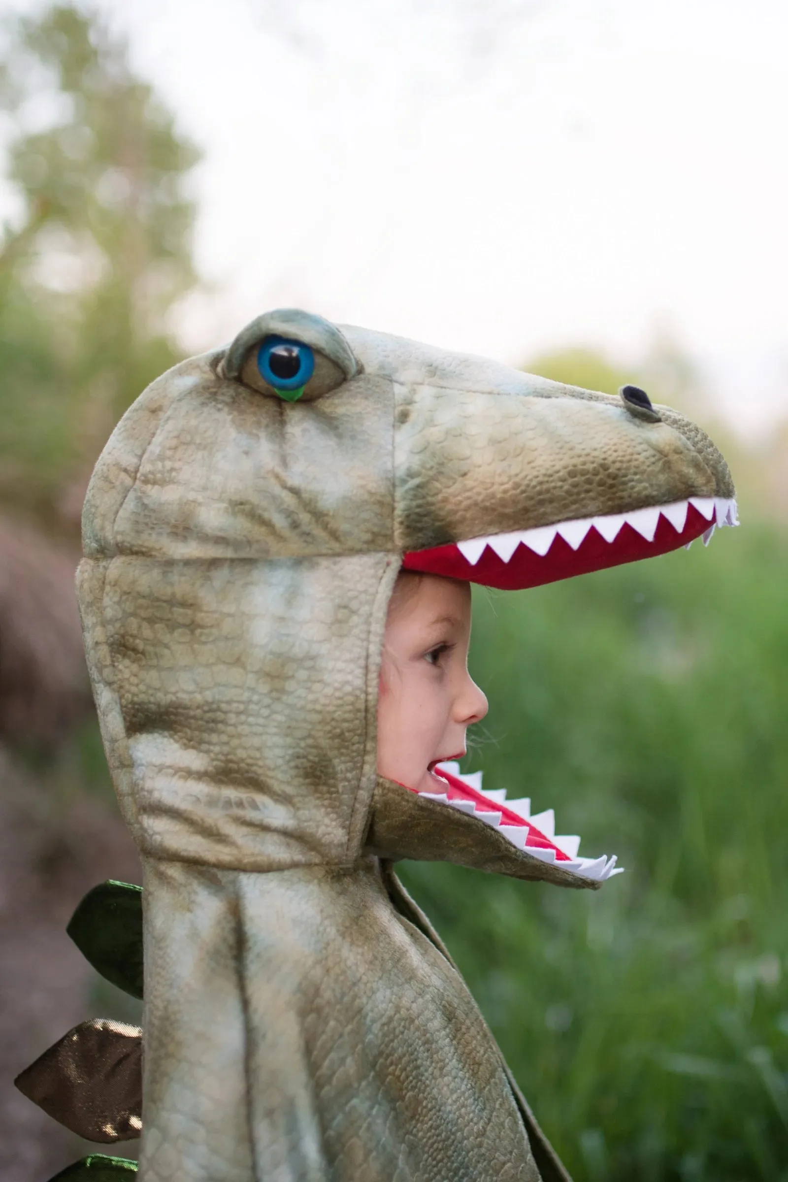 Grandasaurus T Rex Cape