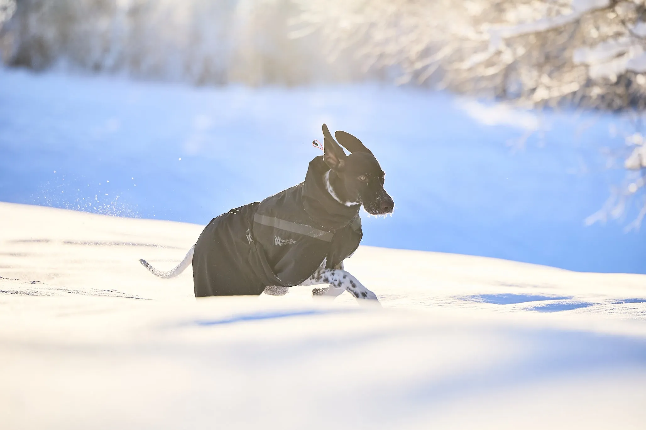 Non-stop - Trekking Insulated Dog Jacket